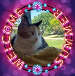 Meet your Posher, Ellen